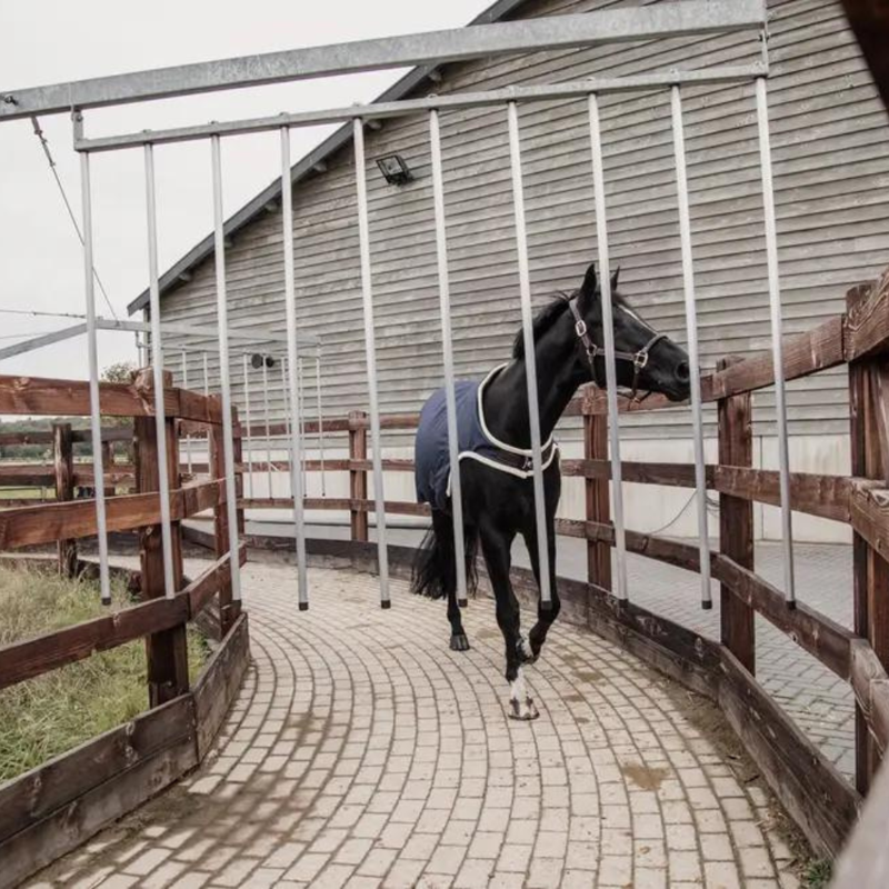 Kentucky Waterproof Walker Rug Navy-2